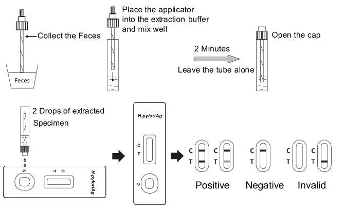 h-pylori-antigen-rapid-test-cassette-feces.jpg