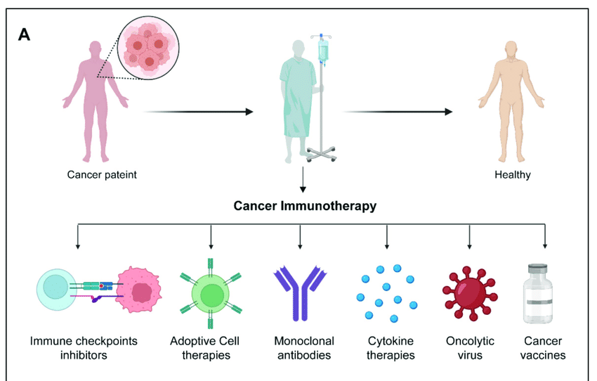 immunotherapy.png