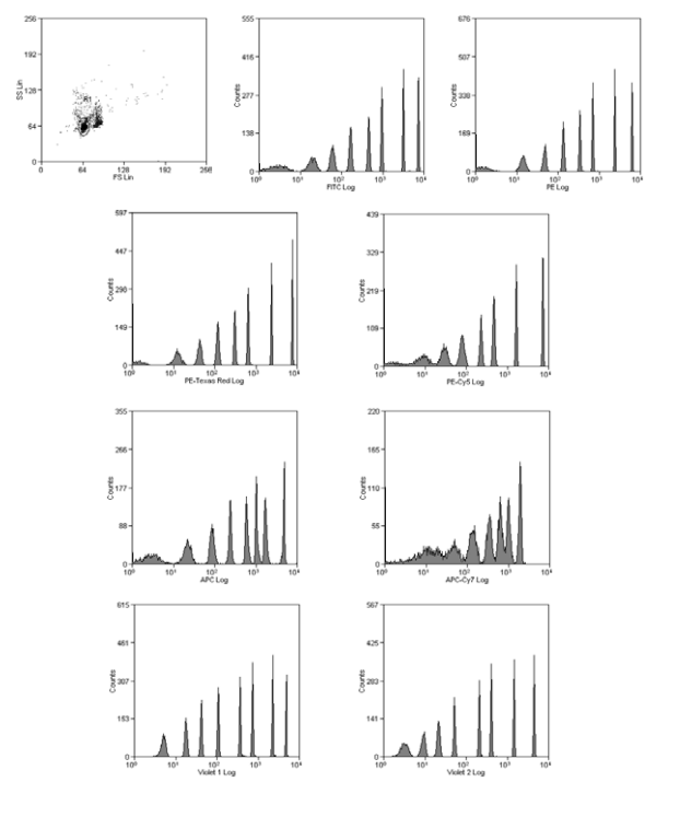 The histograms clearly show these multiple fluorescence populations across channels such as FITC, PE, and APC