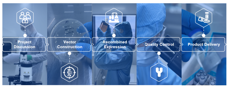 product process